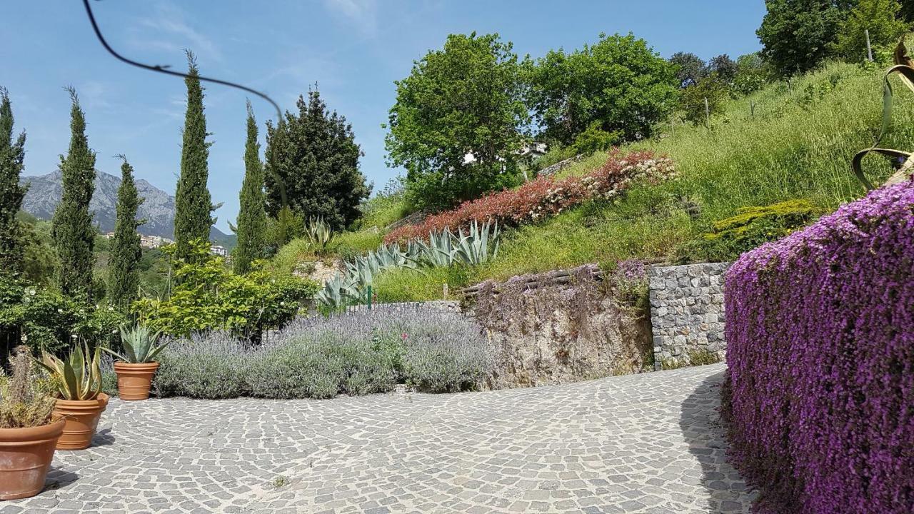Ancient Estate "Il Trignano" Villa Vietri Exteriör bild