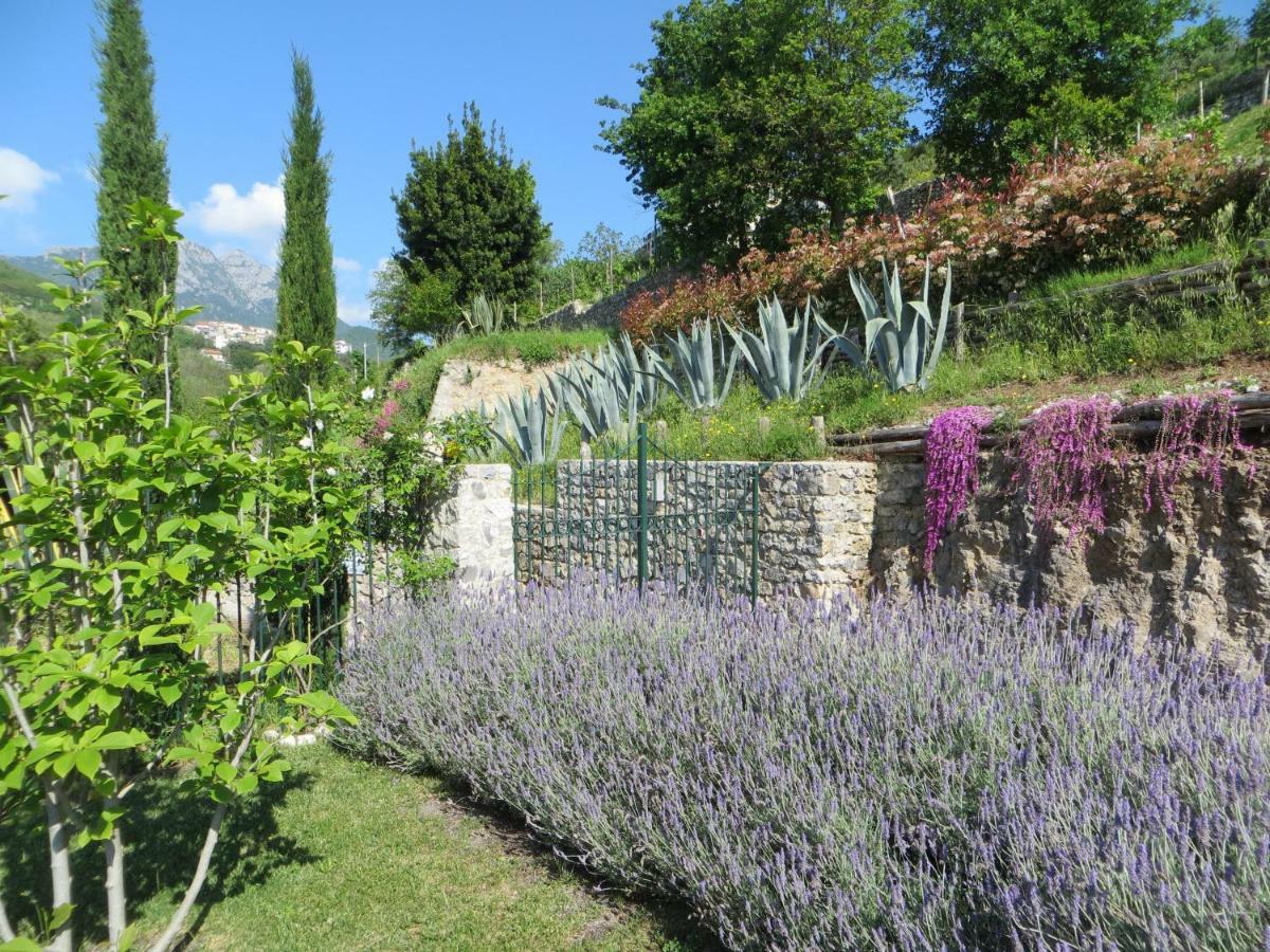 Ancient Estate "Il Trignano" Villa Vietri Exteriör bild